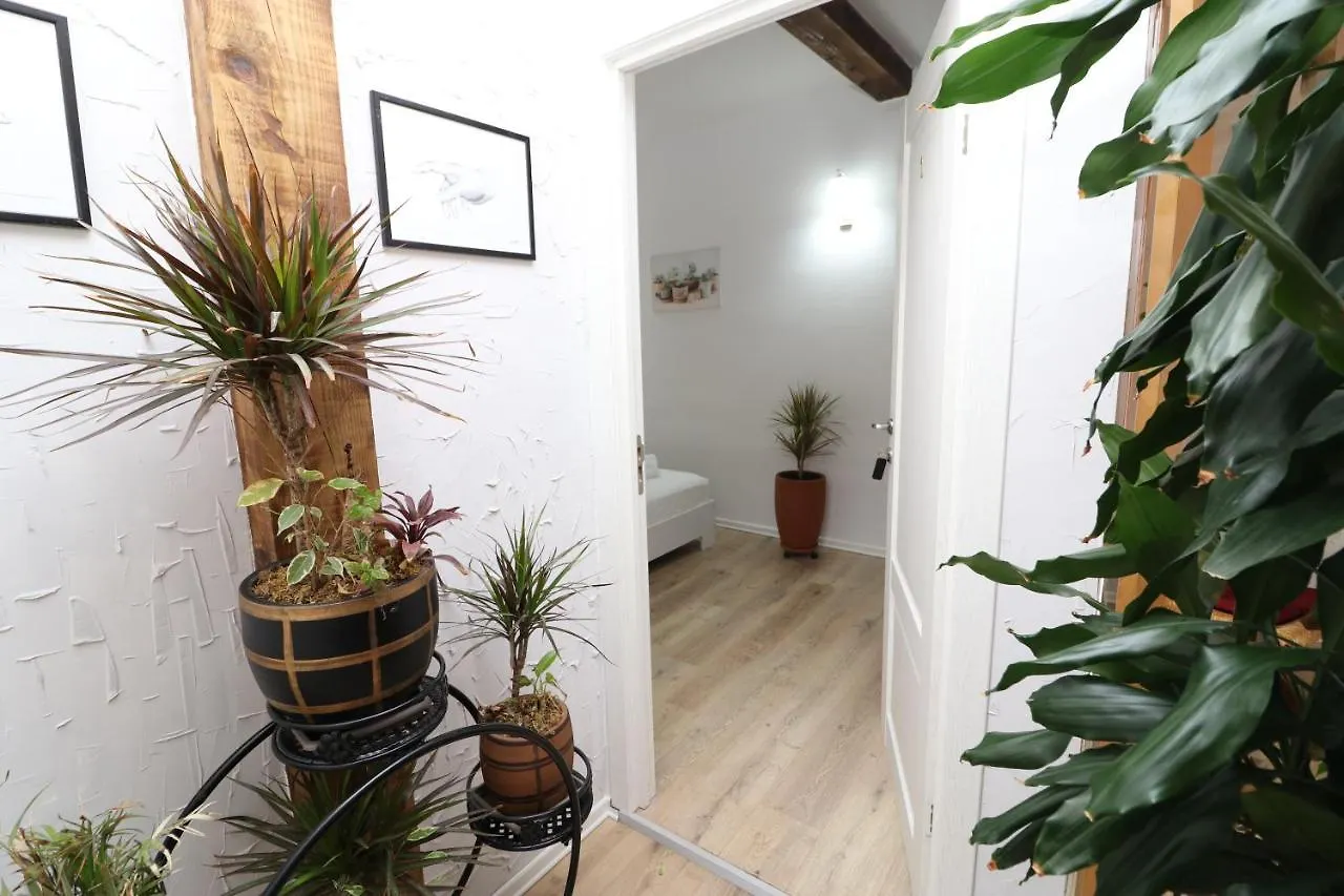 Gaia Bed & Breakfast Vlore